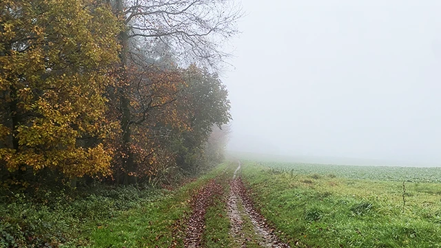 Herbst (z)sauber